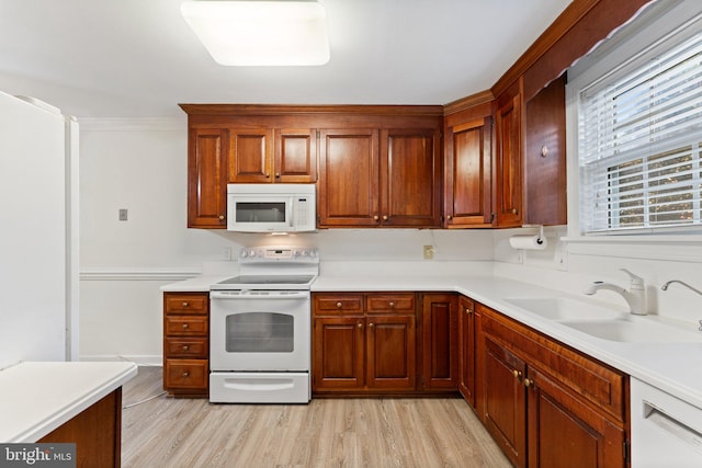 kitchen with sink, light wood-type flooring, and white appliances