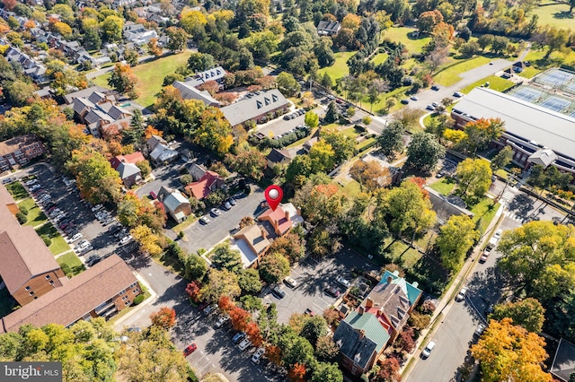 bird's eye view