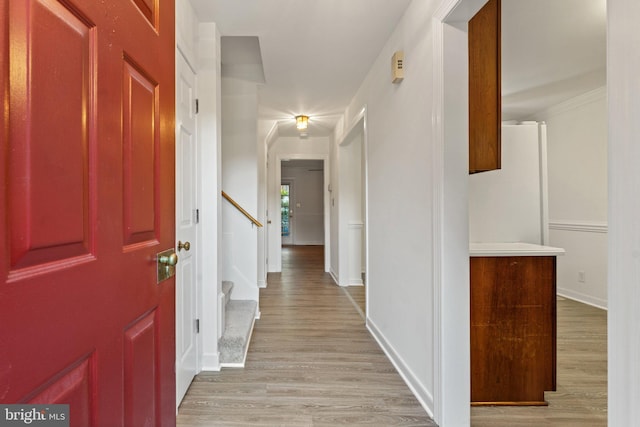 hallway with ornamental molding and light wood-type flooring