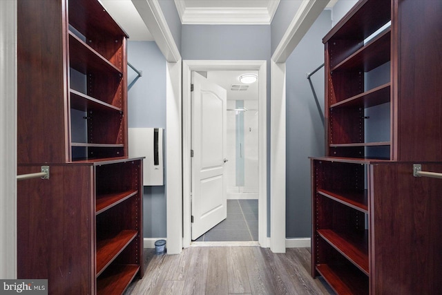 spacious closet featuring dark hardwood / wood-style floors