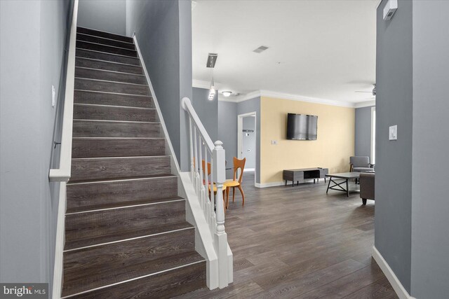 staircase featuring crown molding, wood-type flooring, and ceiling fan