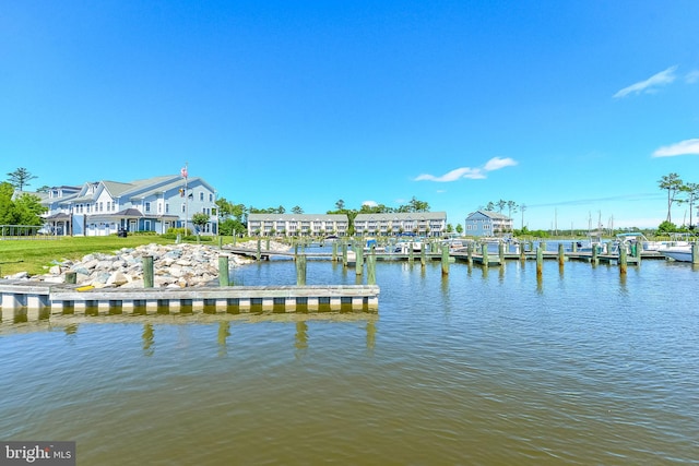 dock area with a water view