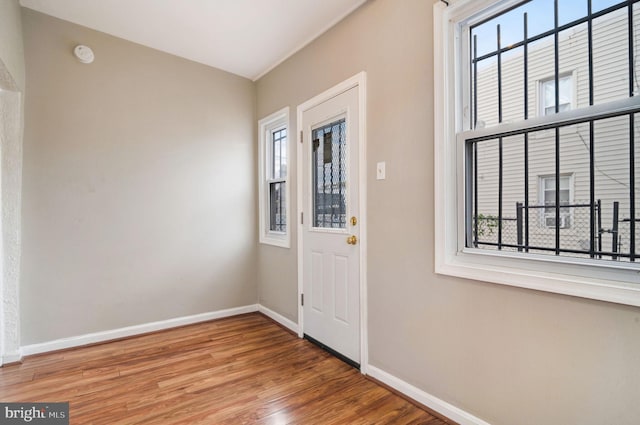 entryway with wood-type flooring