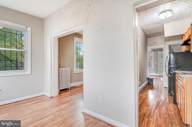 interior space with light hardwood / wood-style floors, radiator heating unit, a healthy amount of sunlight, and light brown cabinetry