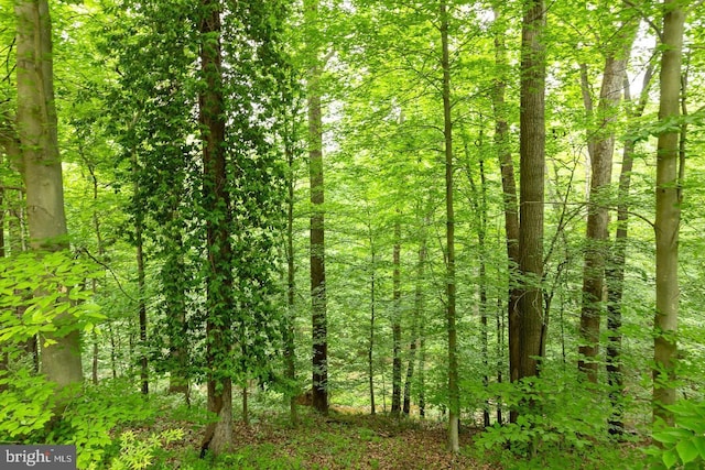 view of landscape