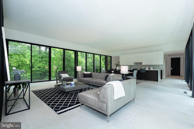 tiled living room featuring plenty of natural light