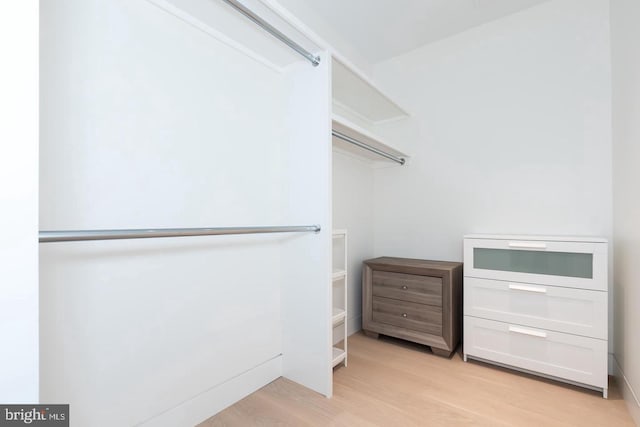 spacious closet with light wood-style floors