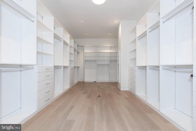 walk in closet with light hardwood / wood-style floors