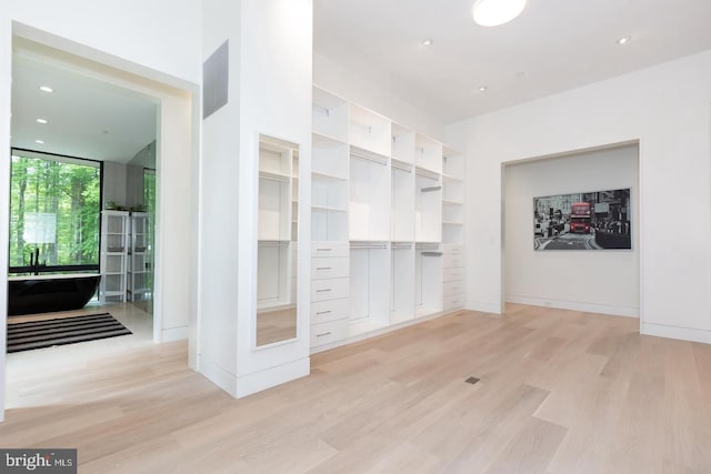 spacious closet with light wood-type flooring