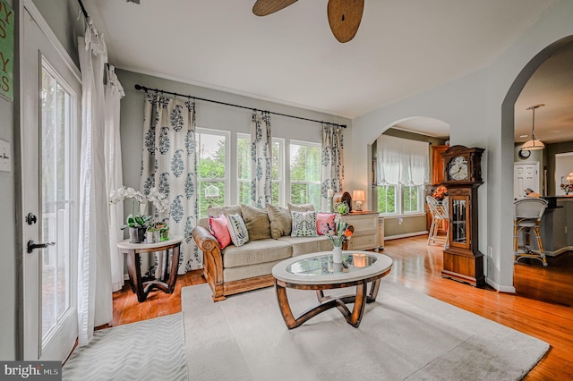 living room featuring hardwood / wood-style flooring and ceiling fan