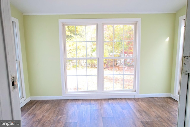 doorway featuring crown molding and hardwood / wood-style flooring