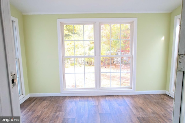 2810 Panther Rd, Vineland, NJ 08361 - doorway with baseboards, plenty of natural light, and wood finished floors