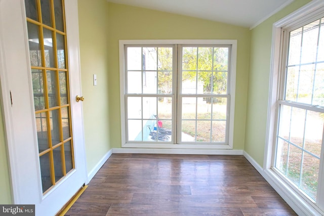 doorway featuring lofted ceiling, dark hardwood / wood-style floors, and a healthy amount of sunlight