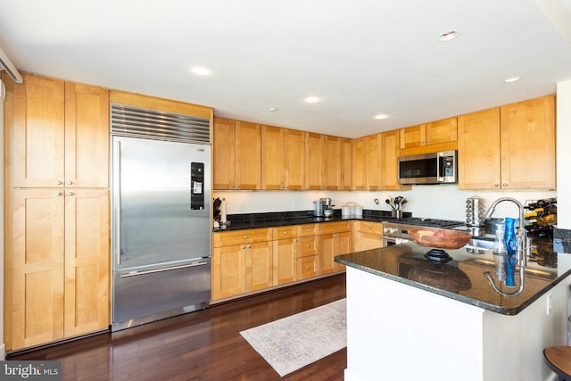 kitchen featuring high quality appliances, dark stone countertops, sink, and dark hardwood / wood-style floors