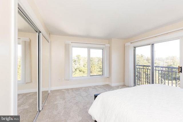 carpeted bedroom with a closet, access to outside, and multiple windows