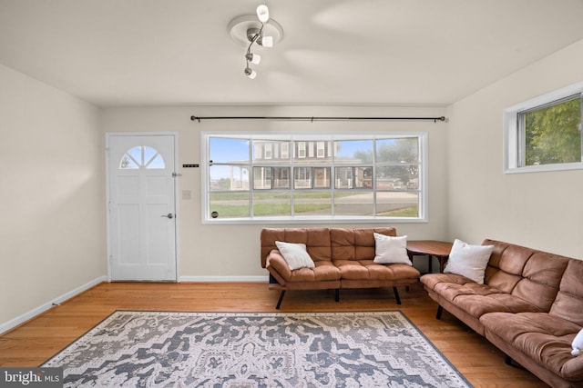 living room featuring hardwood / wood-style flooring