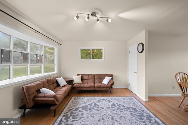 living room featuring light wood-type flooring