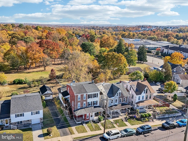 bird's eye view