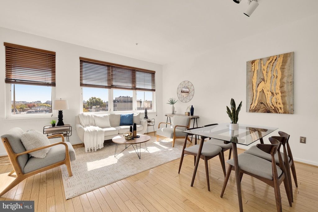 dining area with light hardwood / wood-style floors