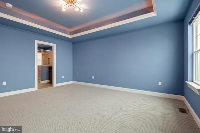 empty room featuring carpet floors and a raised ceiling