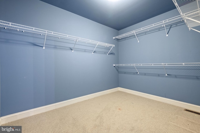 walk in closet featuring carpet