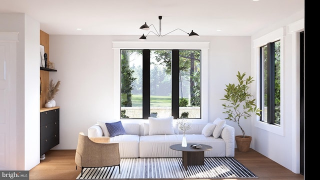 living room with hardwood / wood-style floors and plenty of natural light