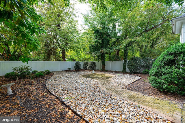 view of yard featuring a patio area