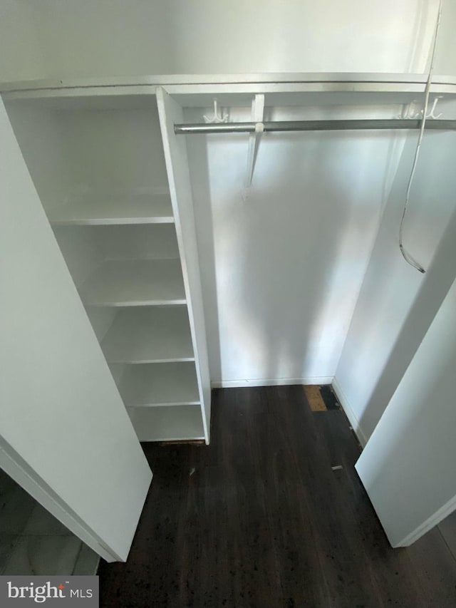 spacious closet featuring dark wood-type flooring