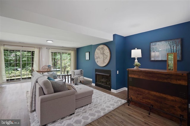 living room featuring wood-type flooring