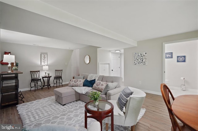 living room featuring wood-type flooring