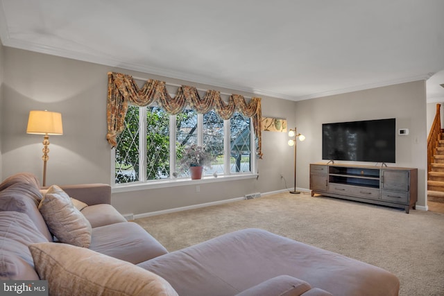 carpeted living room with crown molding