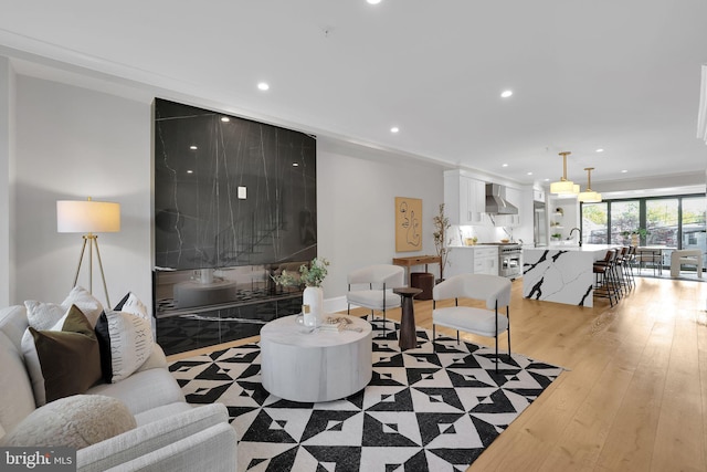 living room with light wood-type flooring