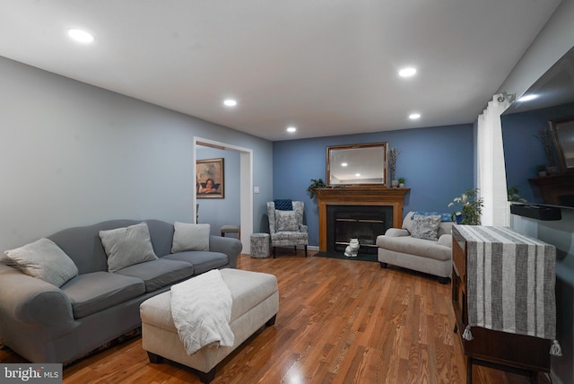 living room with wood-type flooring