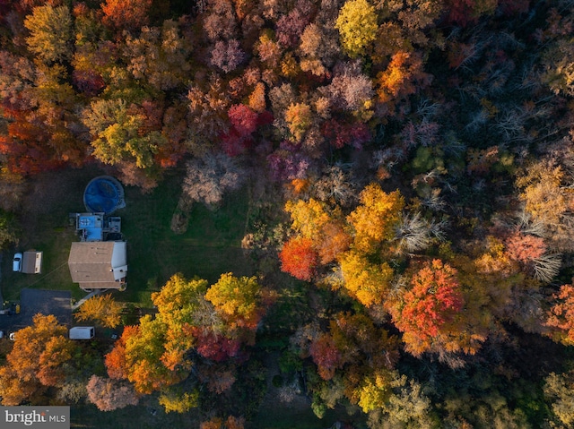 bird's eye view