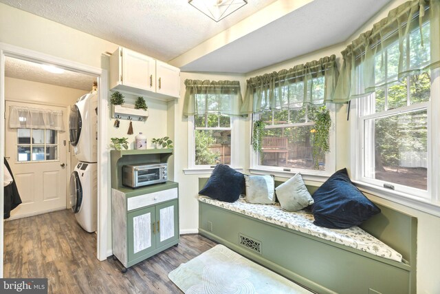 interior space featuring stacked washing maching and dryer and plenty of natural light