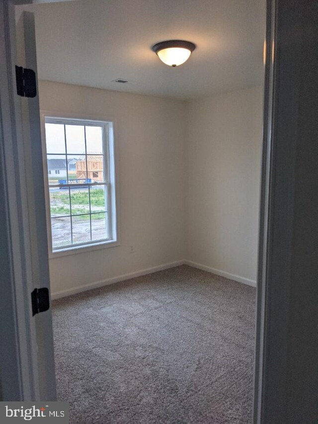 spare room featuring carpet floors