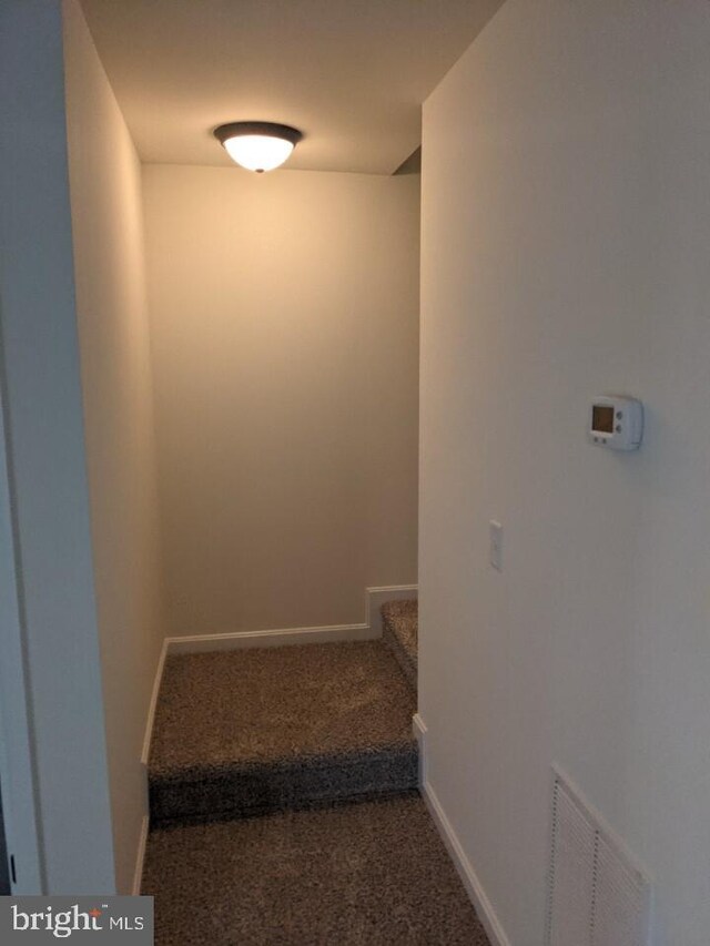 stairs with carpet floors