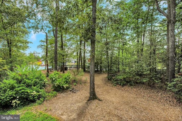 view of yard with a water view