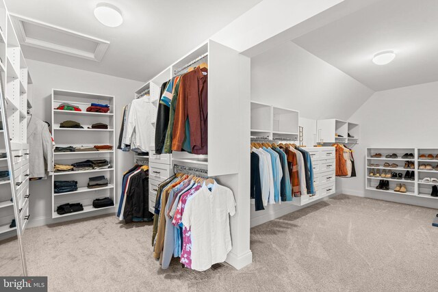 walk in closet featuring lofted ceiling and light colored carpet