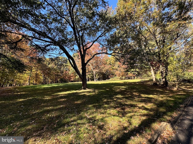 544 Utterback Store Rd, Great Falls, VA 22066