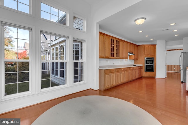 kitchen with stainless steel appliances and light hardwood / wood-style flooring