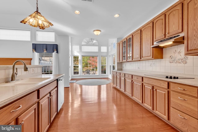 kitchen with black electric cooktop, sink, pendant lighting, stainless steel dishwasher, and light hardwood / wood-style floors