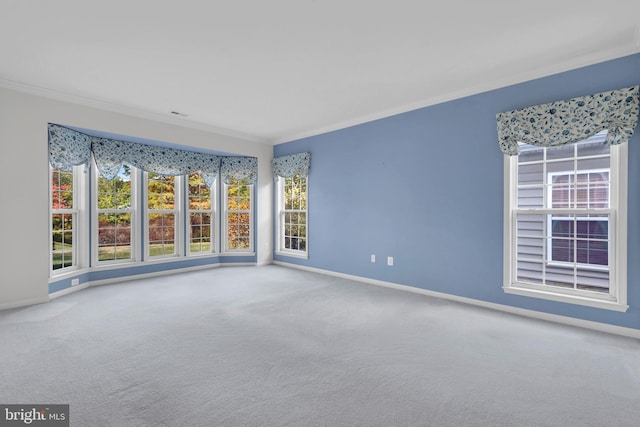 empty room with crown molding and carpet floors