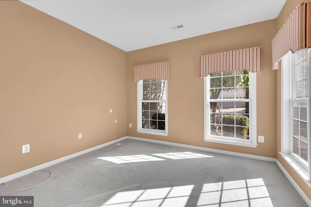 spare room featuring a wealth of natural light and carpet