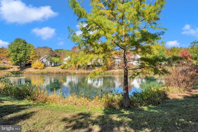 property view of water