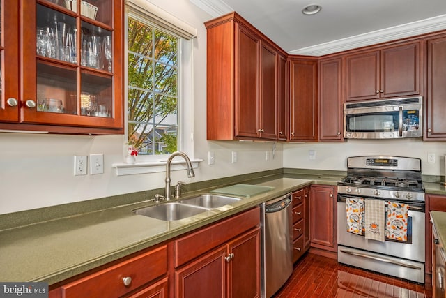 kitchen featuring appliances with stainless steel finishes, ornamental molding, sink, and dark hardwood / wood-style floors