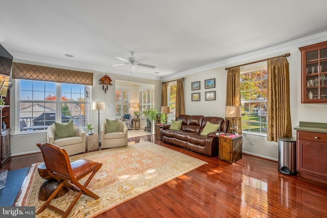 living room featuring a wealth of natural light, ornamental molding, and dark wood-type flooring