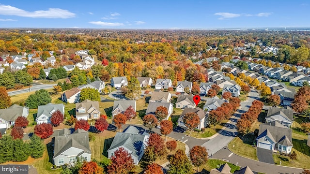 bird's eye view