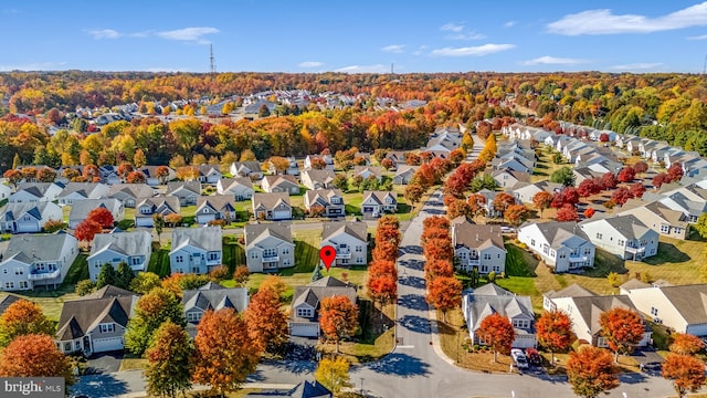 bird's eye view