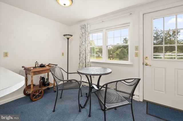 interior space featuring carpet floors and a wealth of natural light